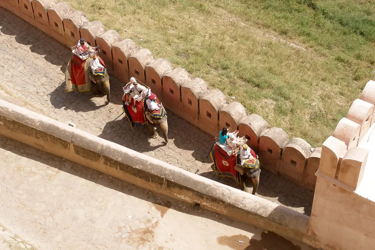 Elephants walking along the outer walls of Amber Fort